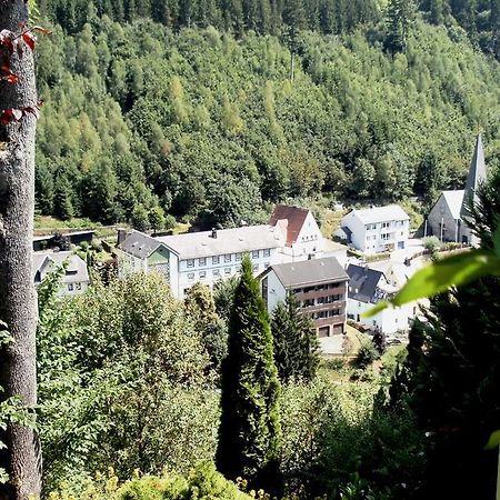 Gasthof Rodachtal Mit Gaestehaus Katharina Schwarzenbach am Wald エクステリア 写真